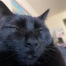 a's profile picture