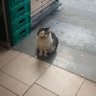 Nurhan profil fotoğrafı