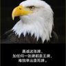 囚徒's profile picture