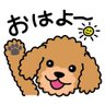 Profilbild von バッカス@スズキハイボール