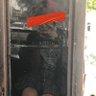 Cata la Rata🐀's profile picture