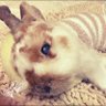 みく profil fotoğrafı