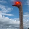Sasim Olbap #BIP-110's profile picture