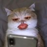 María Gabriela's profile picture