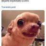 Profilbild von queteimporta