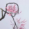 Фото профиля 镰刀之下