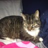 Profilbild von Redsoxgal14227