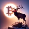 Bitcoin Bowhunter⚡️ profil fotoğrafı