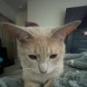 Фото профиля alan