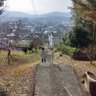 こはしろ 的头像