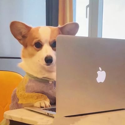 gugulyo155112's profile picture