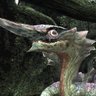 Profilbild von オオナズチ