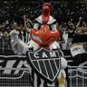 CAÇADOR DE RATOS's profile picture