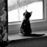 LaDy sTar profil fotoğrafı