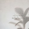 محمد's profile picture