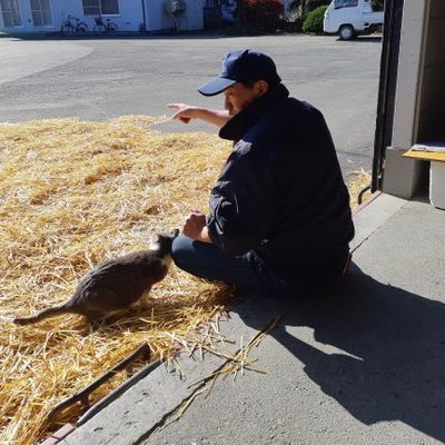 (有)酒井牧場's profile picture