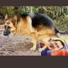 Raul's profile picture