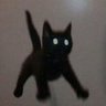 Asonc's profile picture