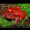 事實分享者 profil fotoğrafı
