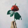 hanya sebatas's profile picture