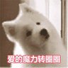 旧城以西 profil fotoğrafı