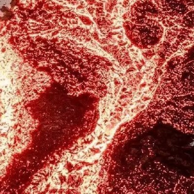 ChakOctopus's profile picture