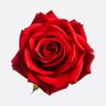 siri3411_V2's profile picture