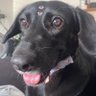 liine_r's profile picture