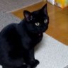 あきさん profil fotoğrafı