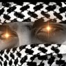 Bitcoin is Freedom profil fotoğrafı
