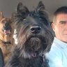Profilbild von El hijo desobediente
