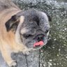 APOLO profil fotoğrafı