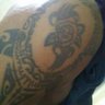 Joshua Moreau's profile picture