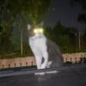 Фото профиля ivan