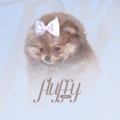 Fluffy Brasil's profile picture
