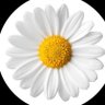 steddyness profil fotoğrafı