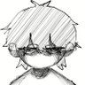 Angelg325's profile picture