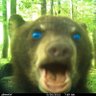 barfy profil fotoğrafı