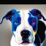 HashP100D's profile picture