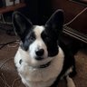 Spudbob's profile picture