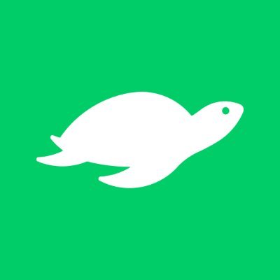 newt_travel's profile picture