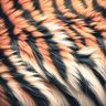 Profilbild von sleepy tiger (sleepy)
