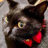 Фото профиля Lucaさん