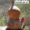 soberanohoy 的头像