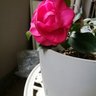yumi profil fotoğrafı