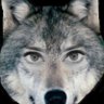 Profilbild von Reman