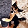 Narawadee Chaisri profil fotoğrafı
