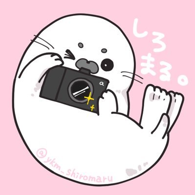 ykm_shiromaru's profile picture