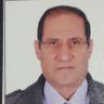 tarek mohamed's profile picture