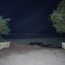 Luci profil fotoğrafı